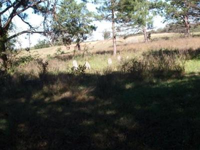 Lower Ray Cemetery on Sysoon