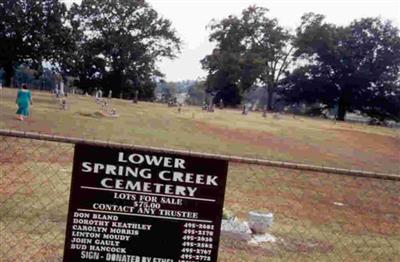 Lower Spring Creek Cemetery on Sysoon