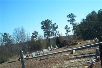 Lowery-Peterson Cemetery (Colored) on Sysoon