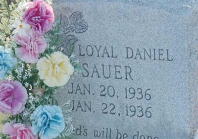 Loyal Daniel Sauer on Sysoon