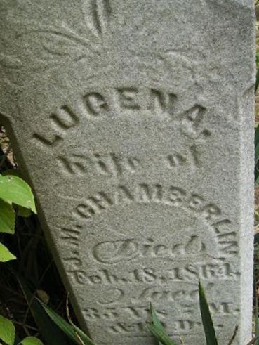 Lucena Chamberlain on Sysoon
