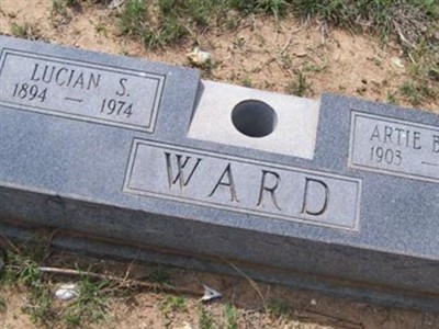 Lucian Simeon Ward on Sysoon