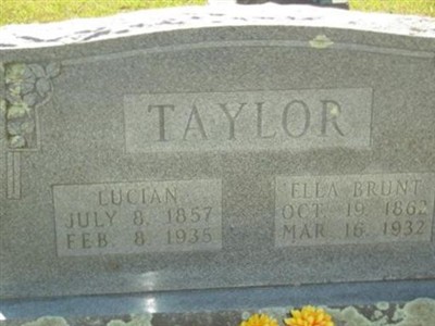 Lucian Taylor on Sysoon