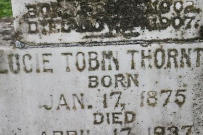 Lucie Tobin Thornton on Sysoon