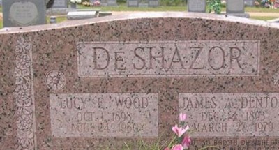 Lucy F Wood DeShazor on Sysoon