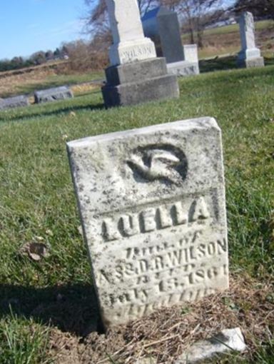 Luella Wilson on Sysoon