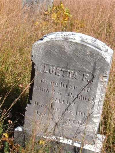 Luetta F Gallup on Sysoon
