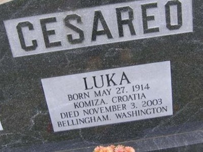 Luka Cesareo on Sysoon