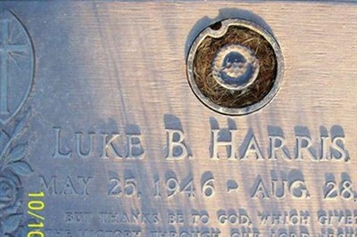 Luke B. Harris, Jr on Sysoon