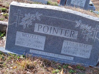 Lula Mae Pointer on Sysoon
