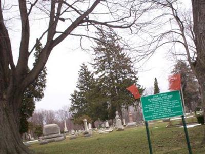 Lulu Falls Cemetery on Sysoon