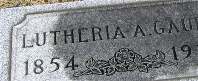 Lutheria A Gauby on Sysoon