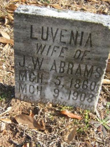 Luvenia Abrams on Sysoon