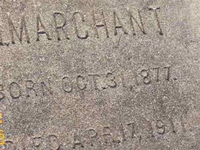 M. Marchant on Sysoon