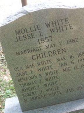 M. Modene White on Sysoon