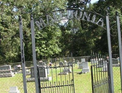 Macedonia Primitive Baptist Church Cemetery on Sysoon