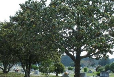 Magnolia Cemetery on Sysoon