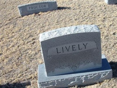Malcolm C. Lively on Sysoon