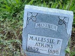 Malissa Frances Brizendine Atkins on Sysoon