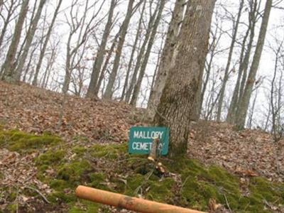 Mallory Cemetery on Sysoon