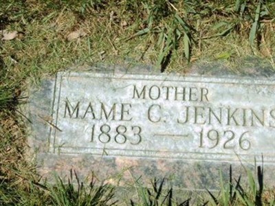 Mame C. Jenkins on Sysoon