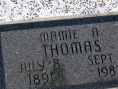 Mamie Adeline Johnson Thomas on Sysoon