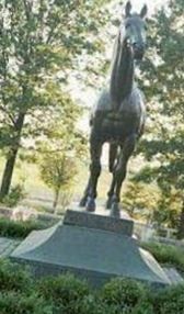 Man O' War on Sysoon