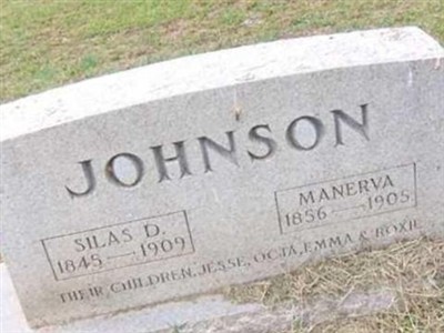 Manerva Johnson on Sysoon