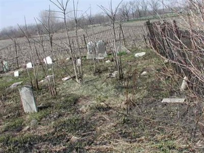 Manns Family Plot on Sysoon
