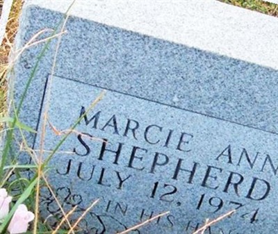 Marcie Ann Shepherd on Sysoon