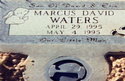 Marcus David Waters on Sysoon