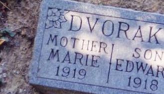 Maria "Mary" Bochnicek Dvorak on Sysoon