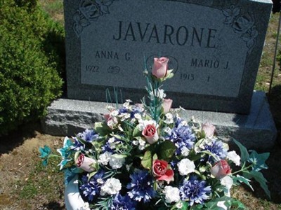 Mario J. Javarone on Sysoon