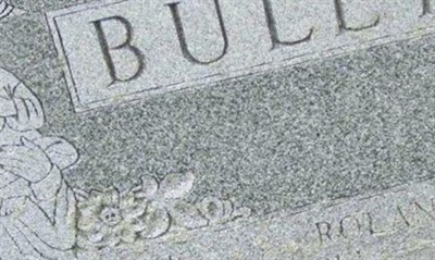 Mark K. Buley on Sysoon
