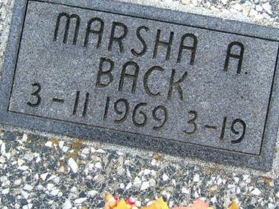 Marsha Alane Back on Sysoon