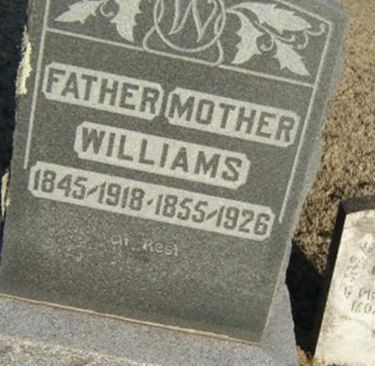 Martha Ann Metcalf Williams on Sysoon