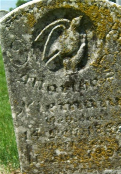 Martha E. Niemann on Sysoon