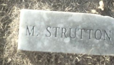 Martha Strutton on Sysoon