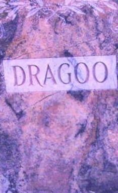 Martha T. Dragoo on Sysoon