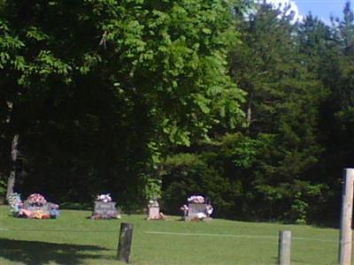 Martin Cemetery on Sysoon