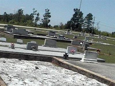 Martin Community Cemetery on Sysoon