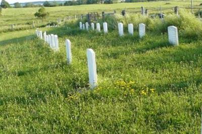 Martin's Mennonite Cemetery of Wellesley Twp on Sysoon