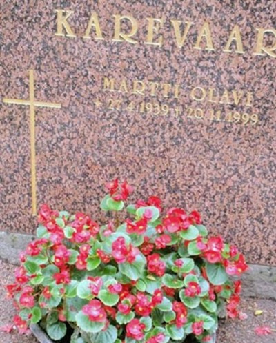 Martti Olavi Karevaara on Sysoon