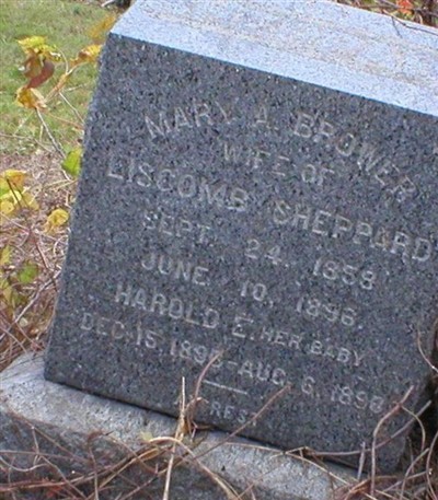 Mary A. (Brower) Sheppard on Sysoon