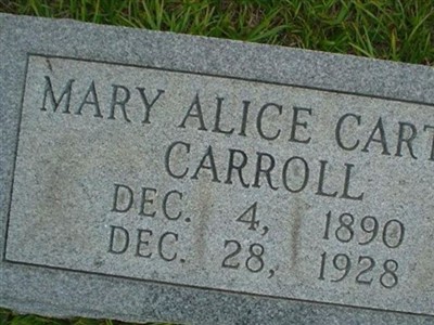 Mary Alice Carter Carroll on Sysoon
