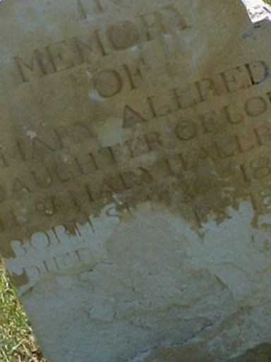 Mary Amelia Allred on Sysoon