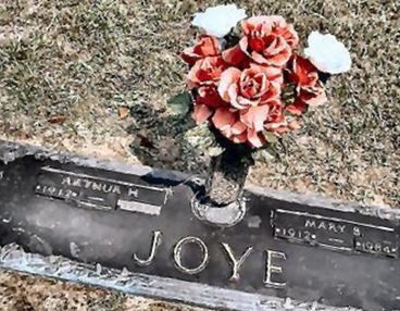 Mary B. Joye on Sysoon