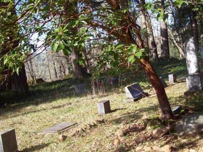 Mary Gay Cogswell Pioneer Cemetery on Sysoon