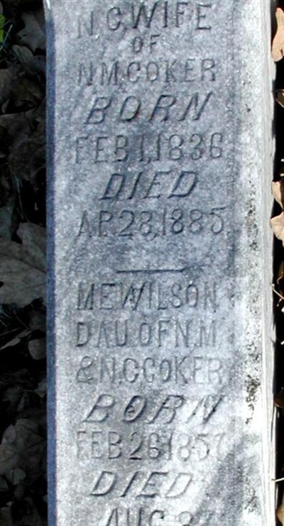 Mary E. Coker Wilson on Sysoon