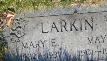 Mary E. Larkin on Sysoon